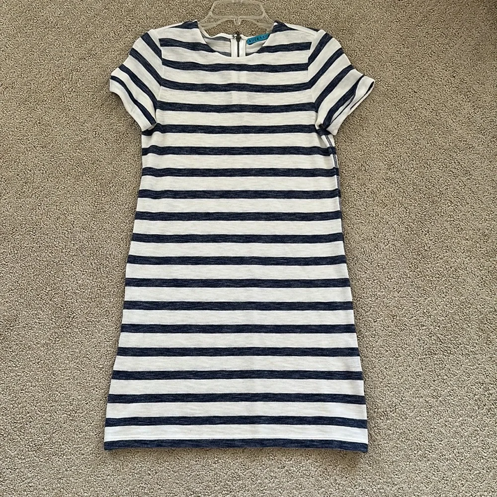 Alice + Olivia Blue and White Striped Knit Dress Sz Xs EUC - Picture 3 of 5